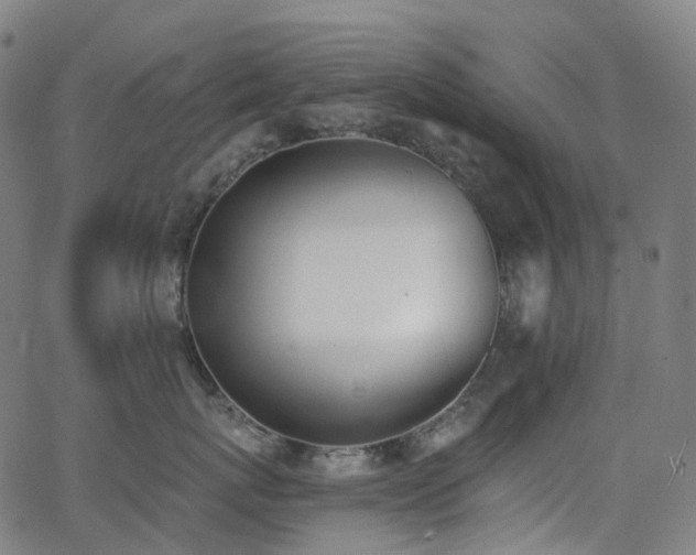 X0000062840767200601131324