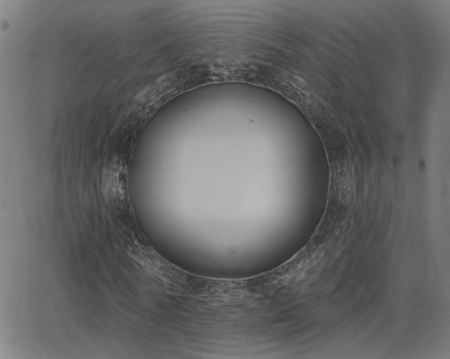 X0000062840770200601131323