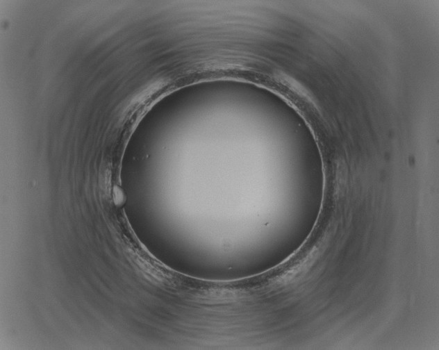 X0000062840777200601131323