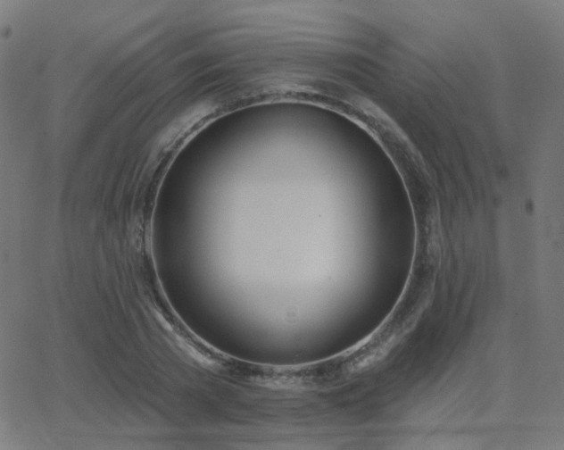 X0000062840785200601131323
