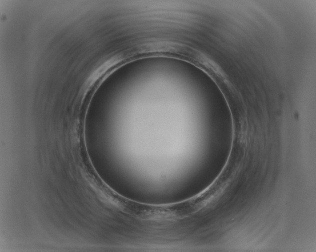 X0000062840786200601131323