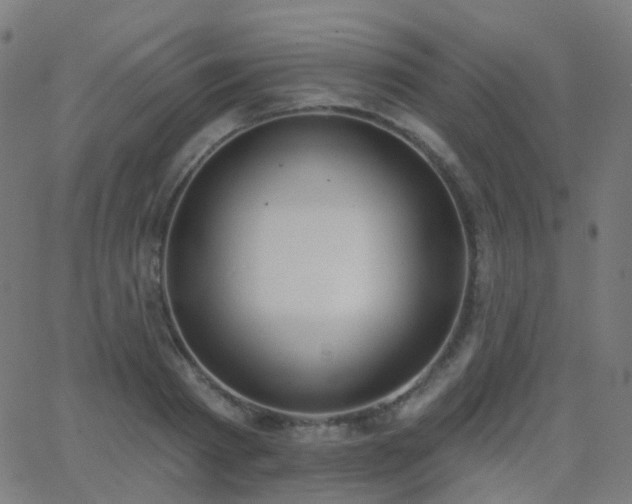 X0000062840793200601131322