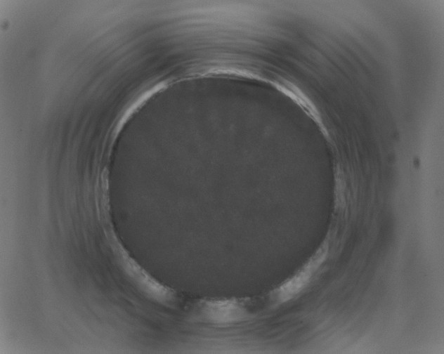 X0000062840798200601131322