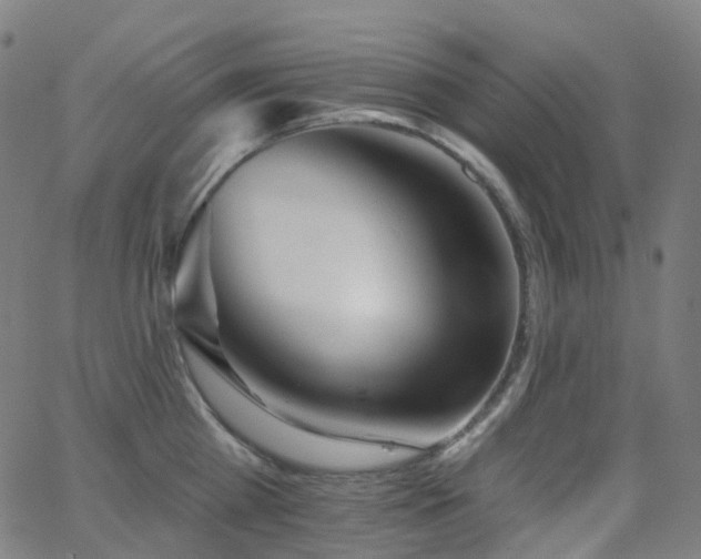 X0000062840809200601131322