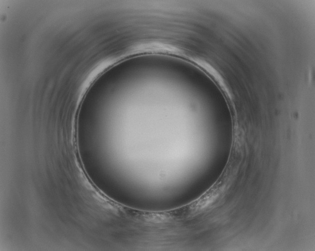 X0000062840815200601131322
