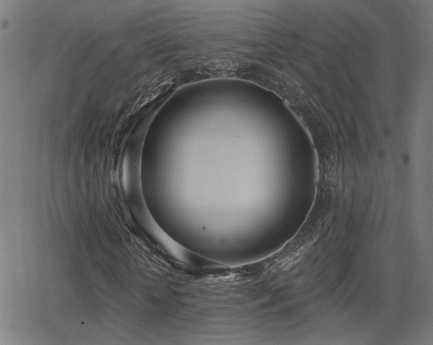 X0000062840818200601131321