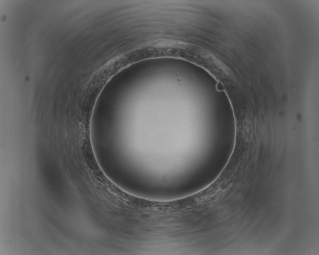 X0000062840821200601131321