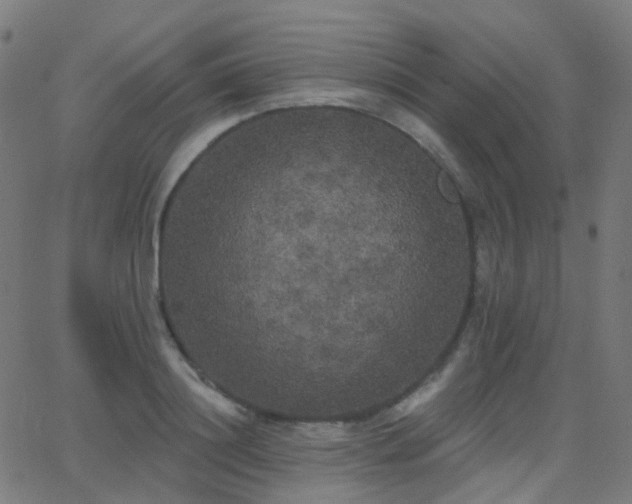 X0000062840844200601131322