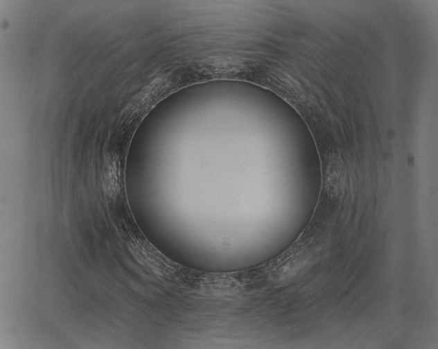 X0000062840866200601131321