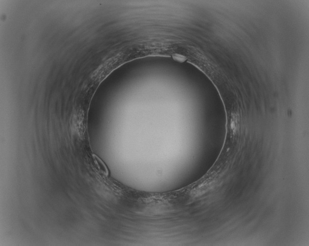 X0000062840867200601131321