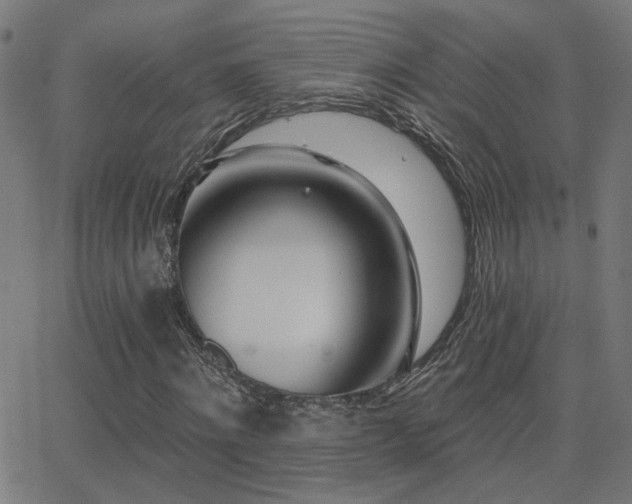 X0000062840868200601131321