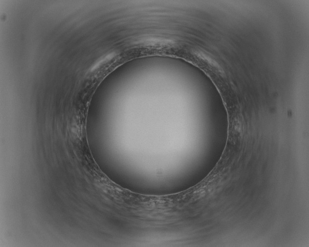 X0000062840869200601131321