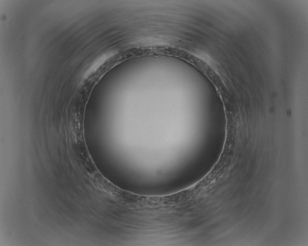X0000062840871200601131321