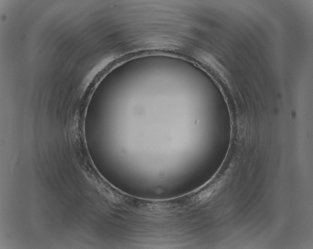 X0000062840875200601131321