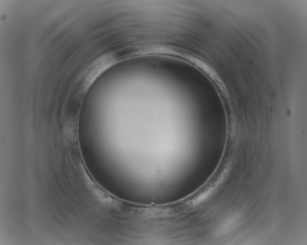 X0000062840905200601131321