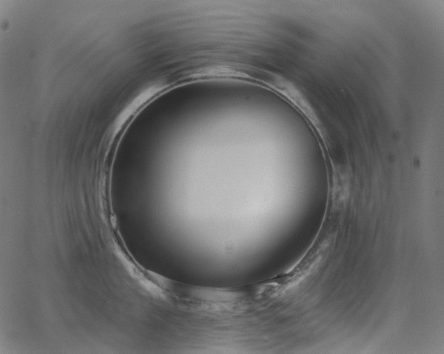 X0000062840909200601131320