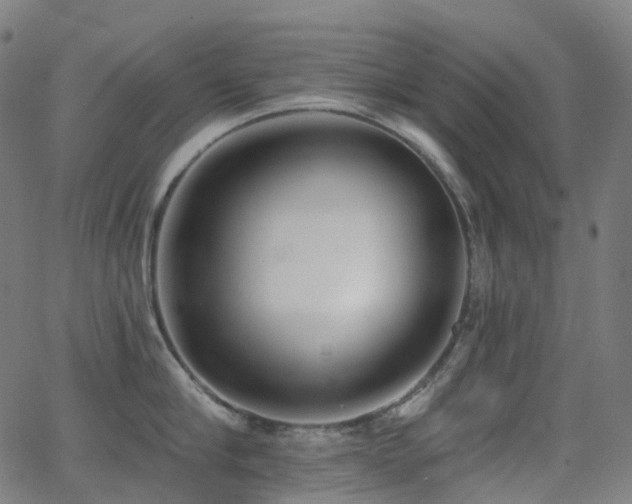 X0000062840910200601131320
