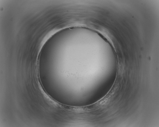 X0000062840911200601131320
