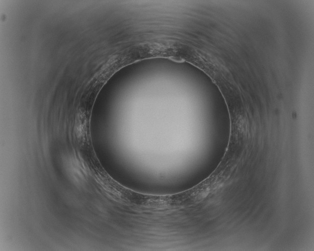 X0000062840914200601131320