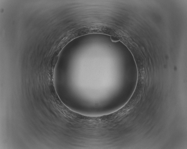 X0000062840916200601131320