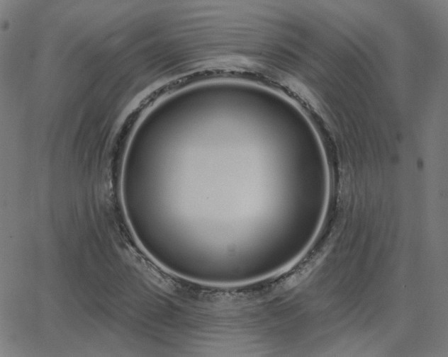 X0000062840923200601131320