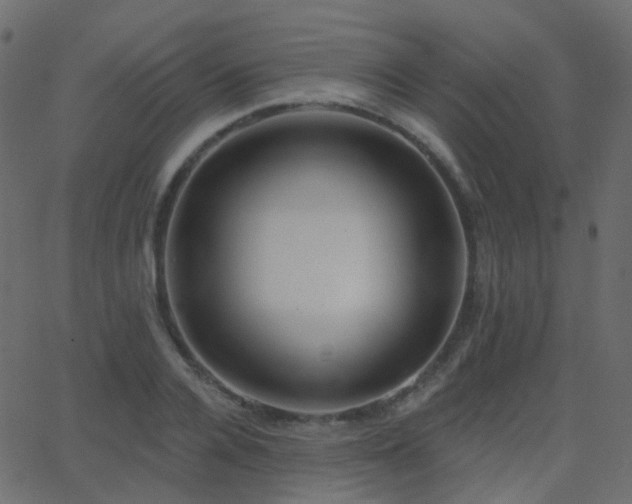 X0000062840936200601131320