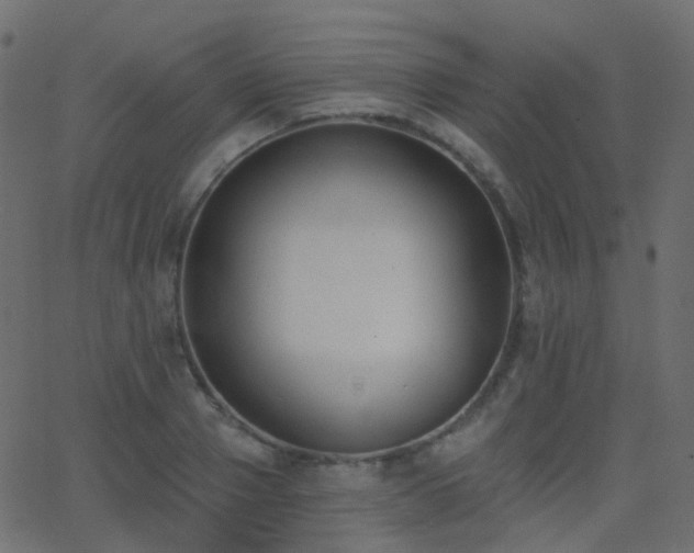 X0000062840937200601131320