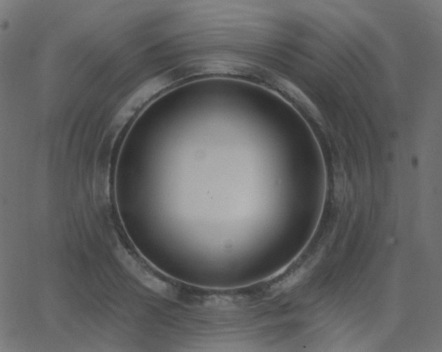 X0000062840938200601131320