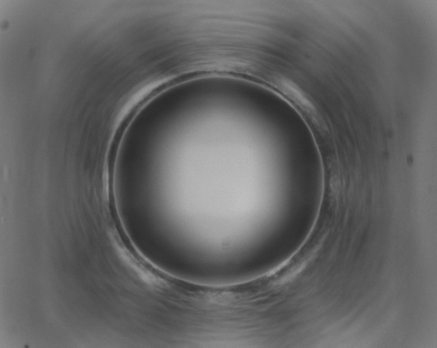X0000062840940200601131320