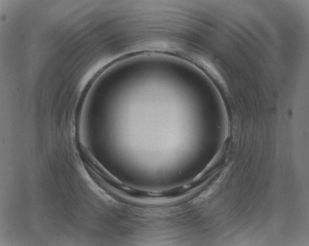X0000062840944200601131320