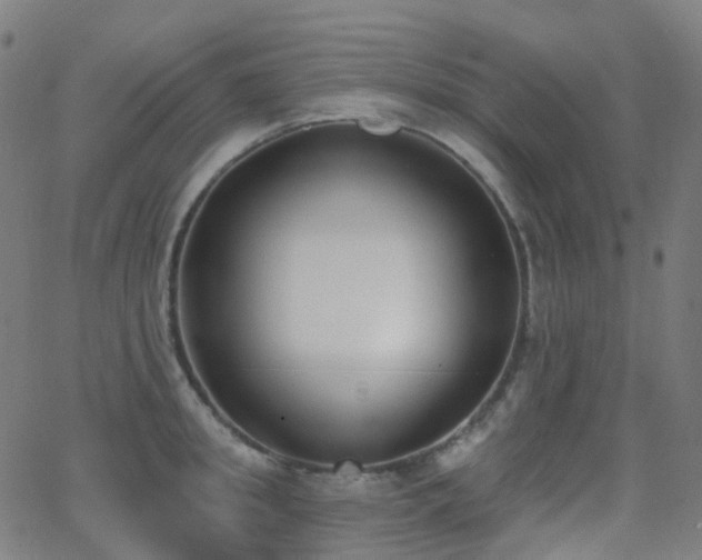 X0000062840949200601131320