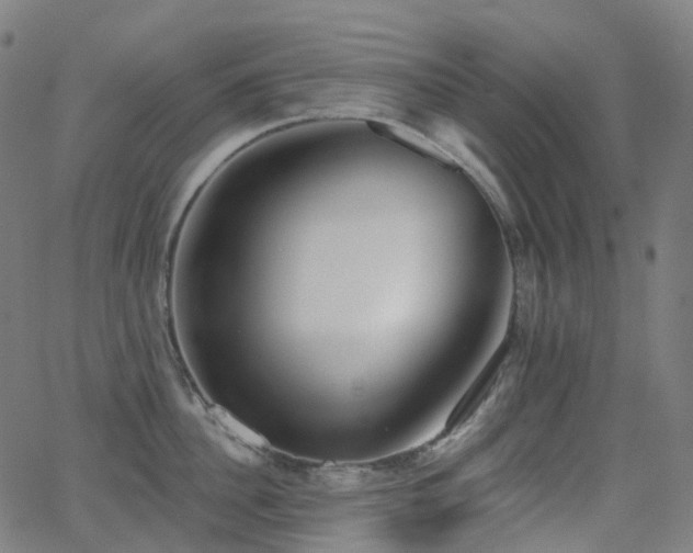 X0000062840956200601131320