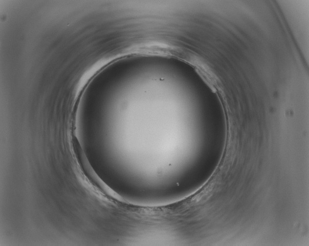 X0000062840960200601131320