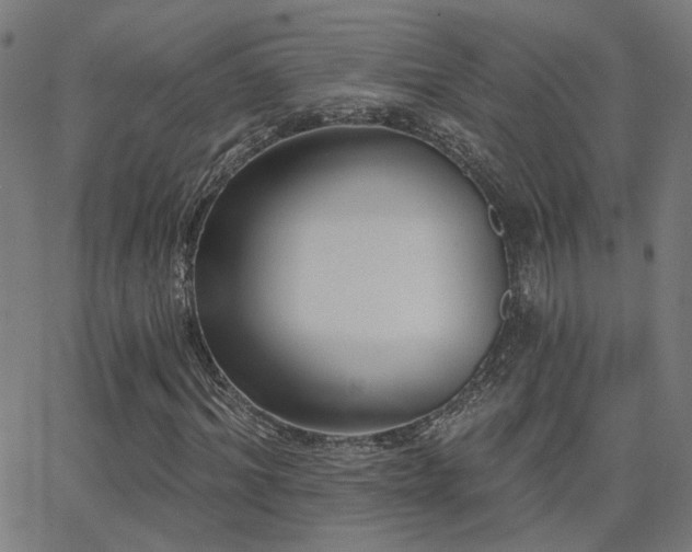 X0000062840964200601131320