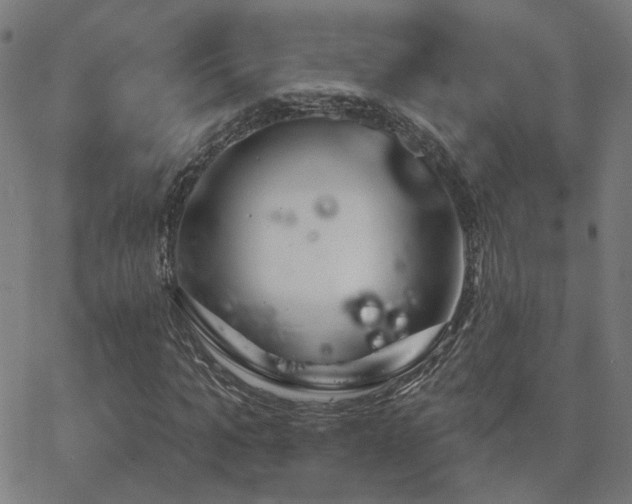 X0000062840965200601131320