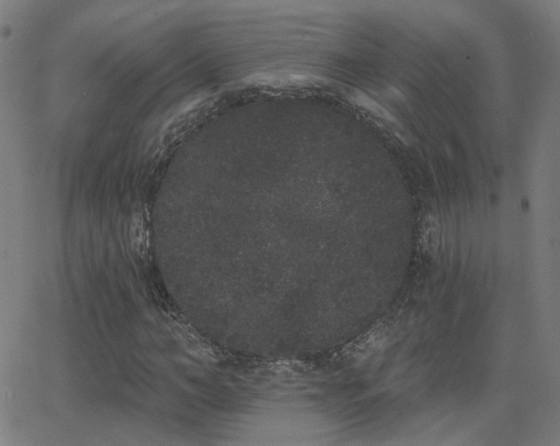 X0000062840966200601131320