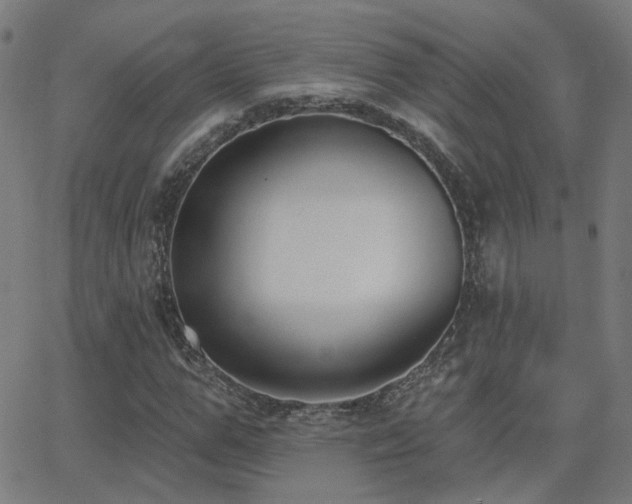 X0000062840967200601131319