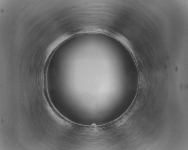 X0000062841003200601131319