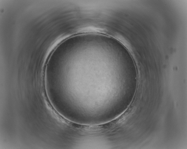 X0000062841008200601131319