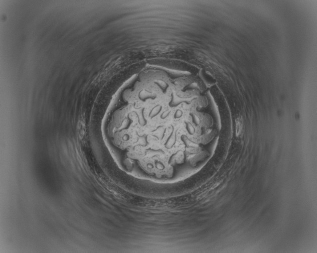 X0000062841011200601131318