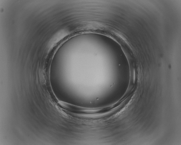 X0000062841018200601131318