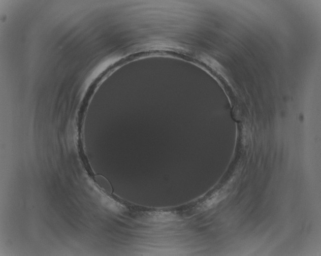X0000062841024200601131318