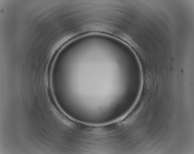 X0000062841028200601131318