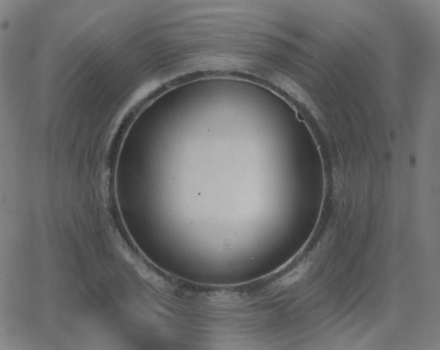 X0000062841029200601131318
