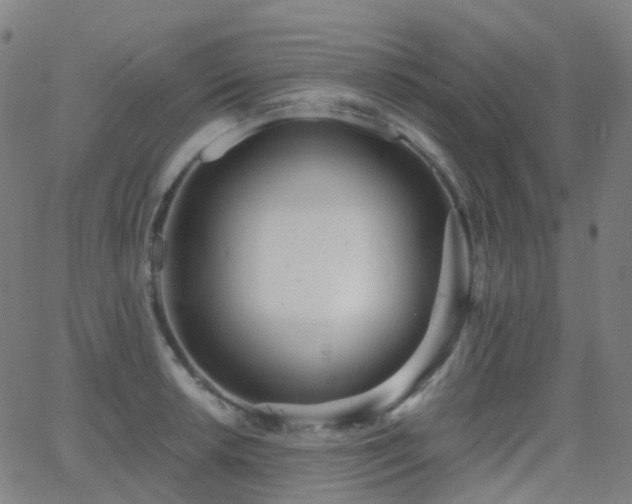 X0000062841042200601131319