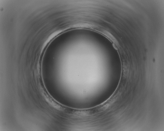 X0000062841044200601131319