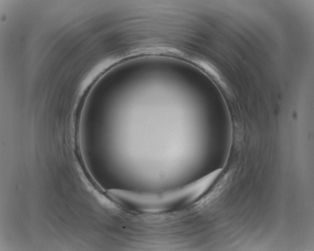 X0000062841046200601131319