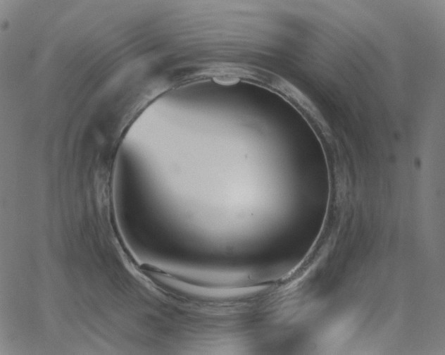 X0000062841049200601131319