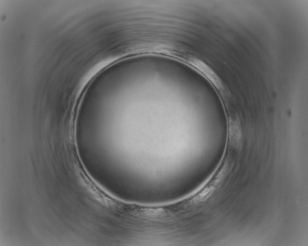 X0000062841052200601131319