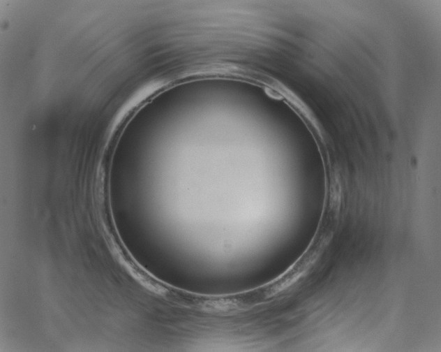 X0000062841053200601131319